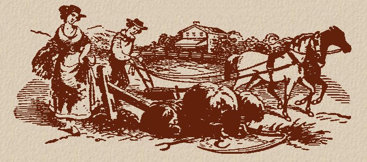 Land Grant Artwork